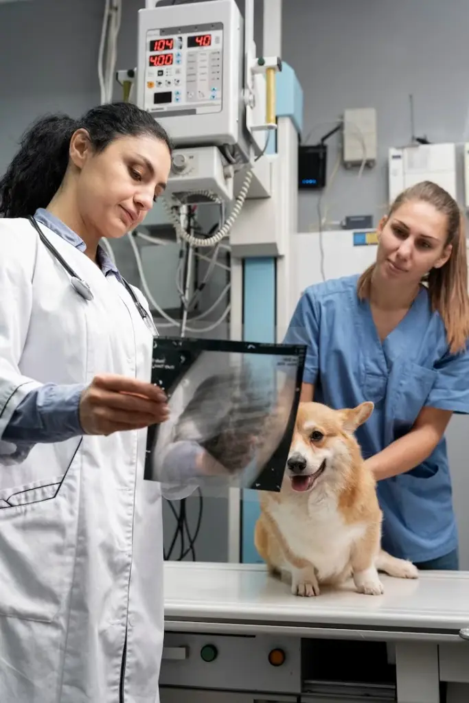Laboratorio Veterinario 24 Horas