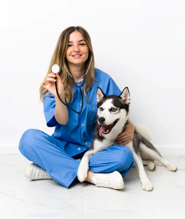 Veterinario 24h