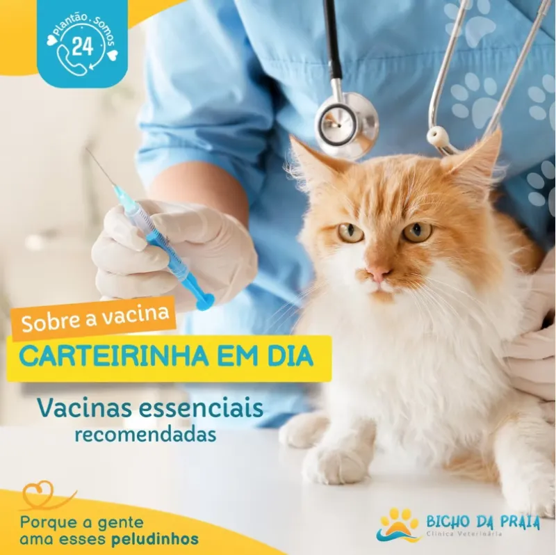 A carteira de vacinação do seu pet está em dia? Conheça as vacinas recomendadas