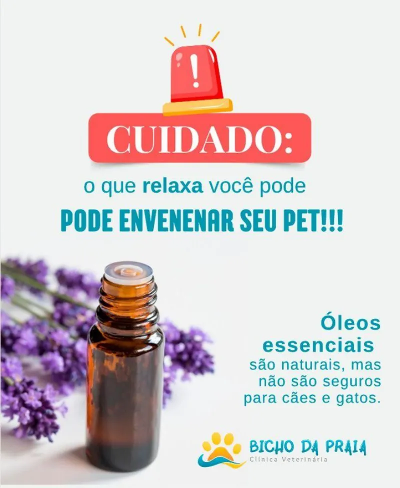 Óleos essenciais são naturais, mas nem todos são seguros!
