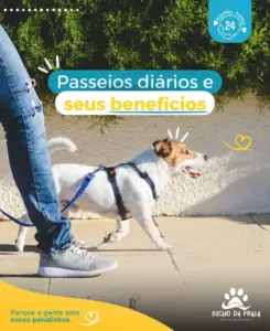 Passeios diários e seus benefícios