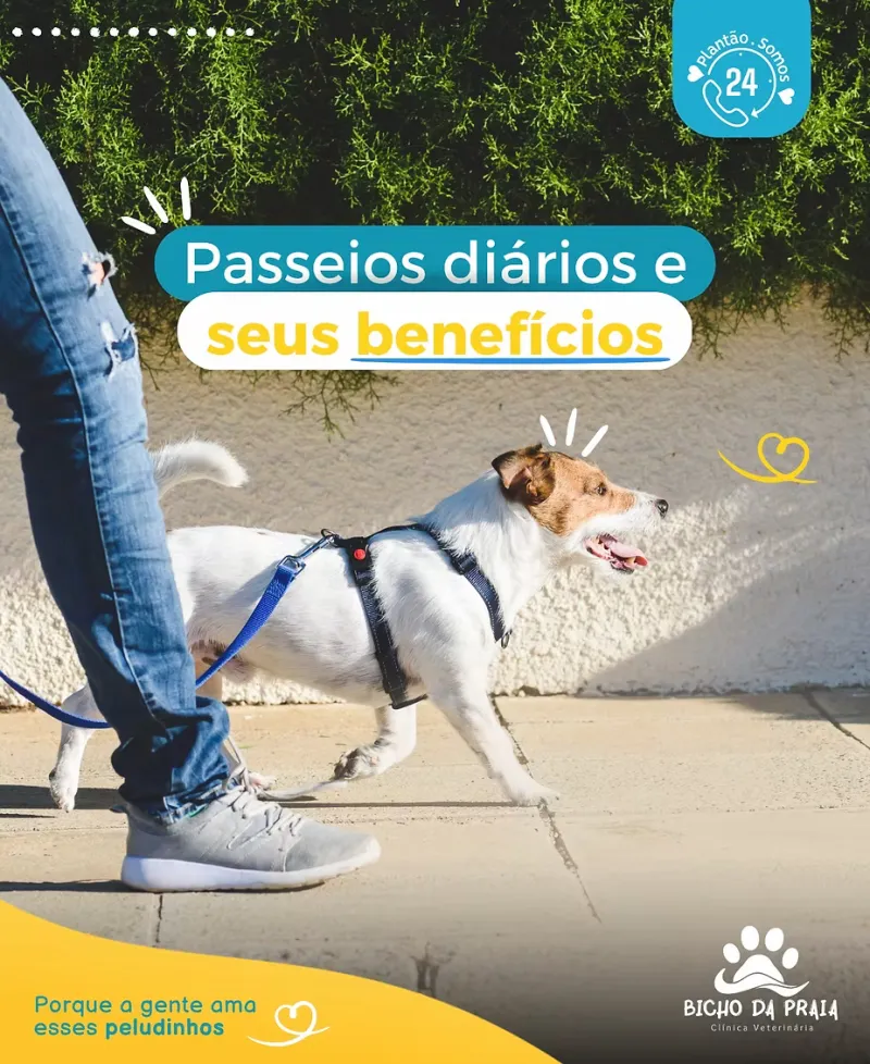 Passeios diários e seus benefícios