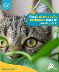 Quais plantas são perigosas para os meus pets?