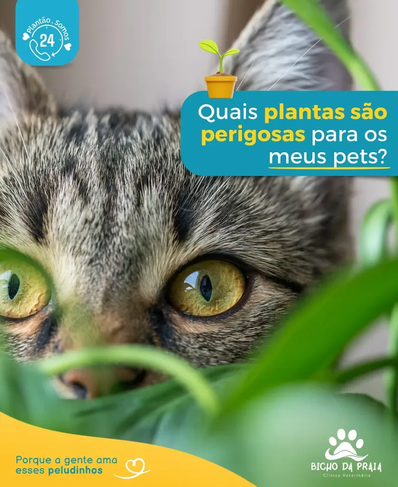 Quais plantas são perigosas para os meus pets?